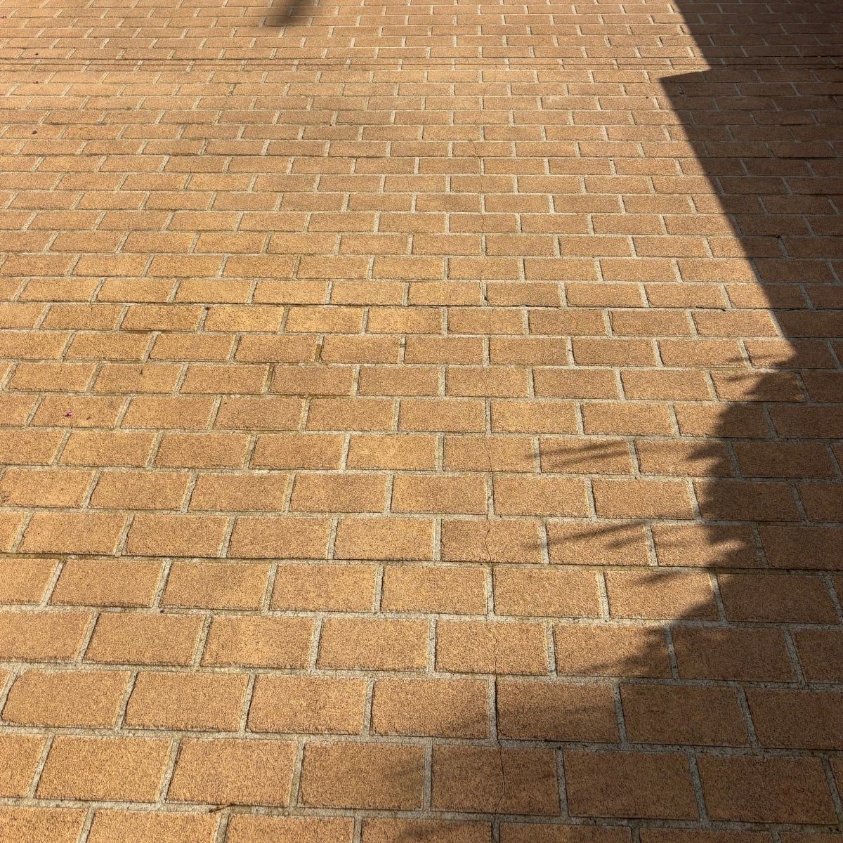 Driveway after