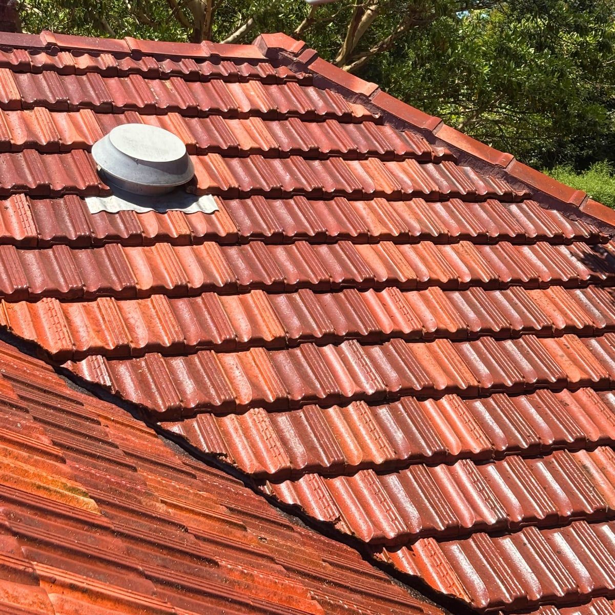 Roof Tiles after cleaning