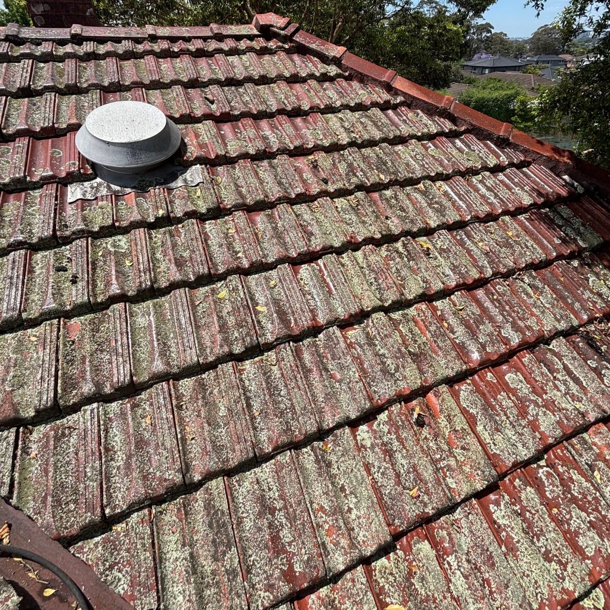 Roof Tiles before cleaning