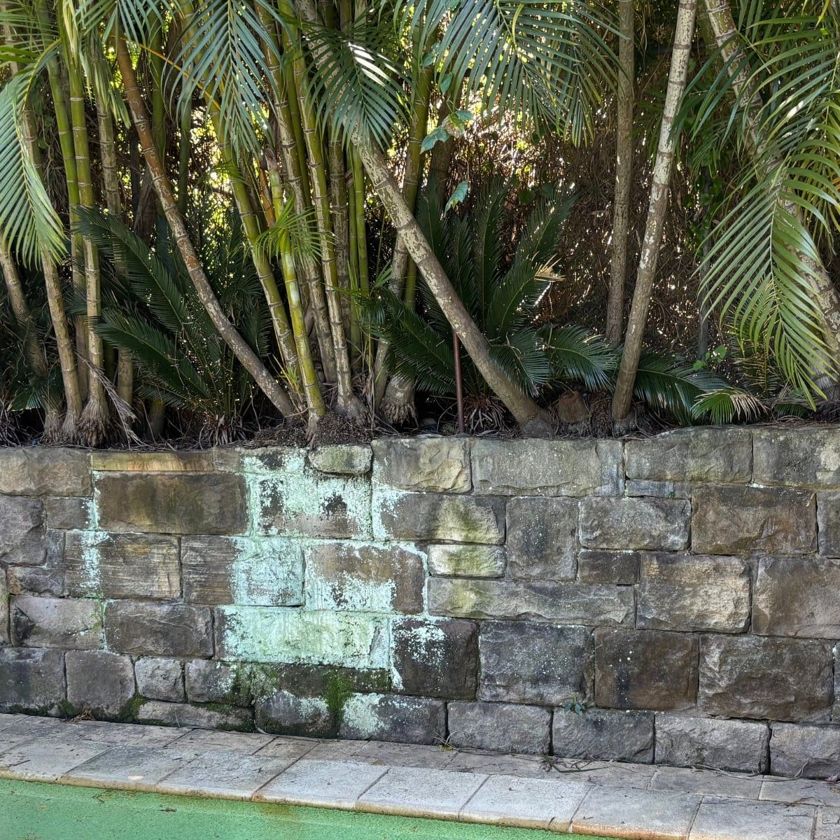 Sandstone Wall before cleaning